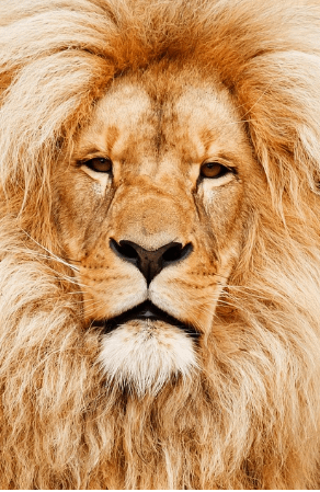 Day 24: 2023 MFM 70 Days Fasting And Prayers